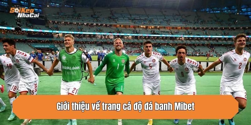 Giới thiệu về trang cá độ đá banh Mibet