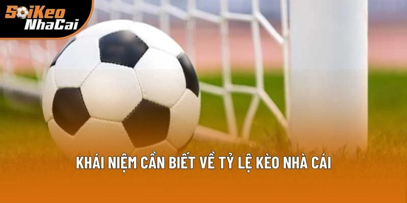 Định nghĩa cần nắm bắt rõ về tỷ lệ kèo nhà cái